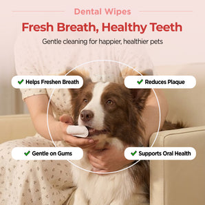 JAYU PET Dental Finger Wipes (Mint)