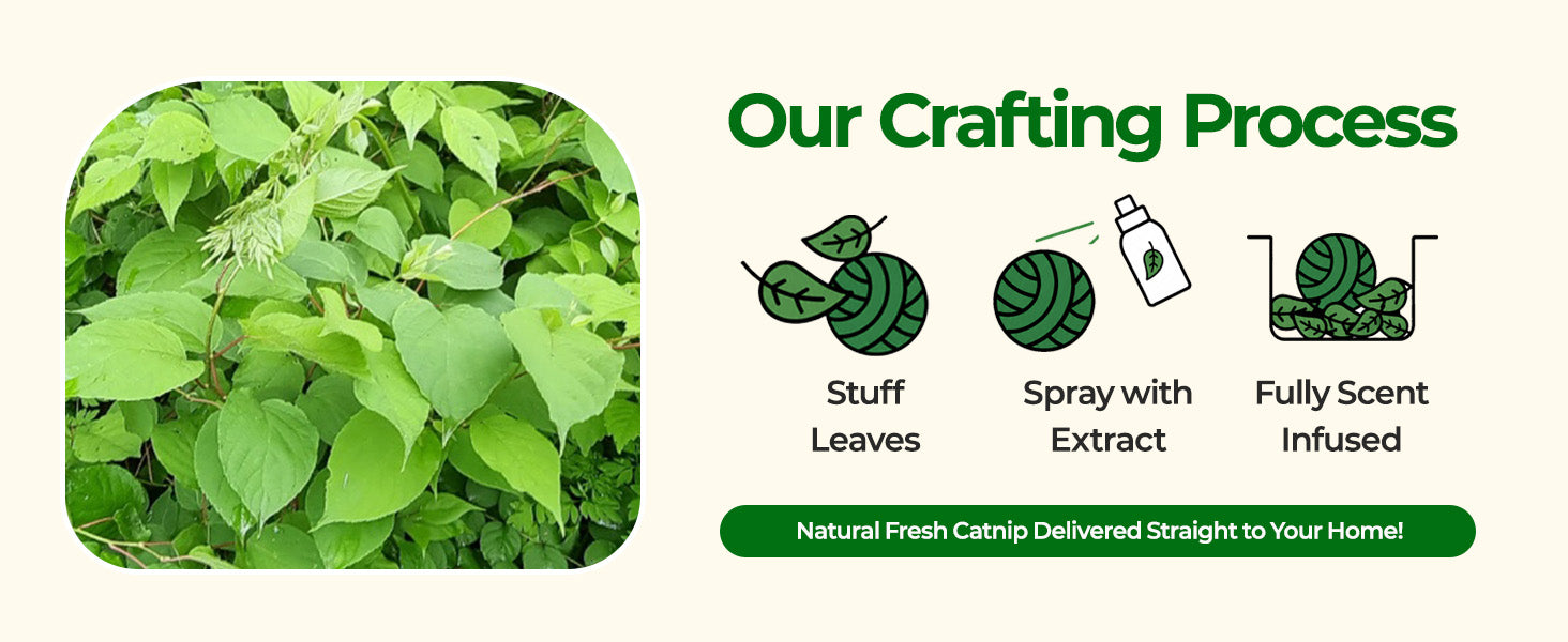 Green Cat Ball crafting process