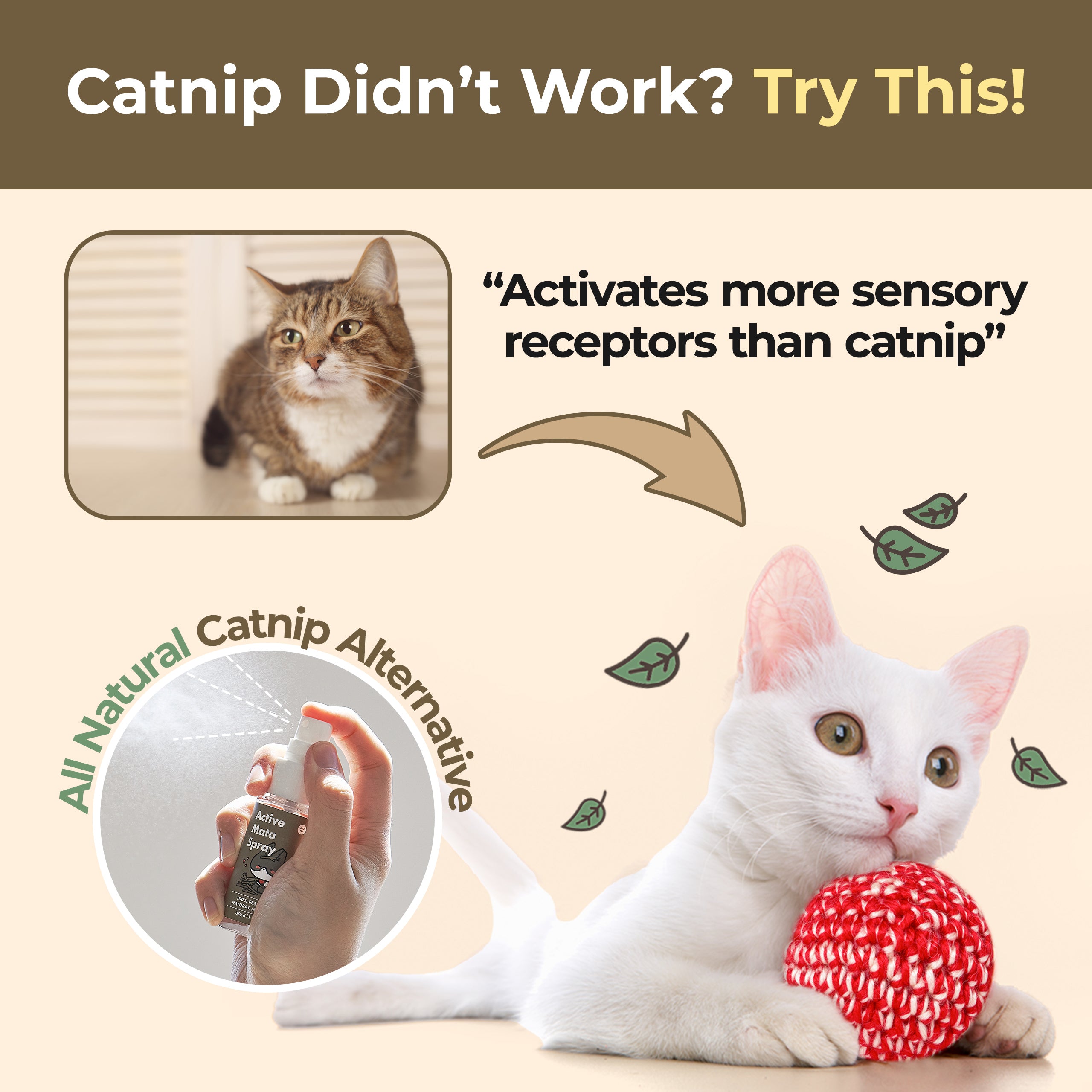 Active Mata Spray - Calming Silvervine Spray - JAYU PET