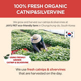 Cat Holic Ball and Spray – Silvervine Cat Toy & Catnip Spray - JAYU PET