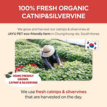 Cat Holic Ball and Spray – Silvervine Cat Toy & Catnip Spray - JAYU PET