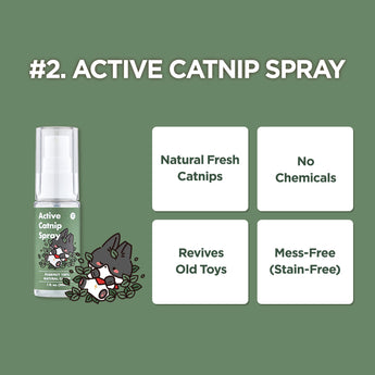 Cat Holic Ball and Spray – Silvervine Cat Toy & Catnip Spray - JAYU PET