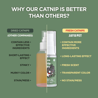 Cat Holic Ball and Spray – Silvervine Cat Toy & Catnip Spray - JAYU PET