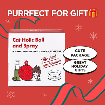 Cat Holic Ball and Spray – Silvervine Cat Toy & Catnip Spray - JAYU PET