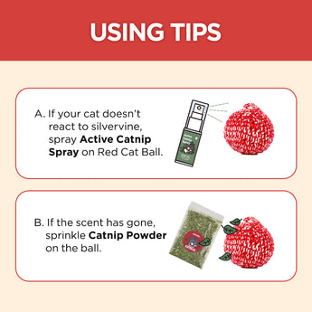 Cat Holic Ball and Spray – Silvervine Cat Toy & Catnip Spray - JAYU PET