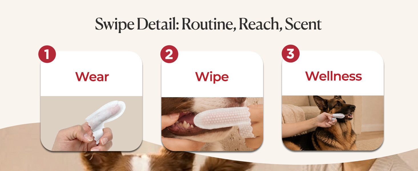 How to use JAYU PET Dental Finger Wipes Unscent