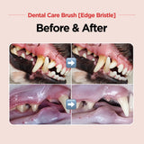 Dental Care Brush(Edge Bristles) – Diagonal-shaped Toothbrush - JAYU PET
