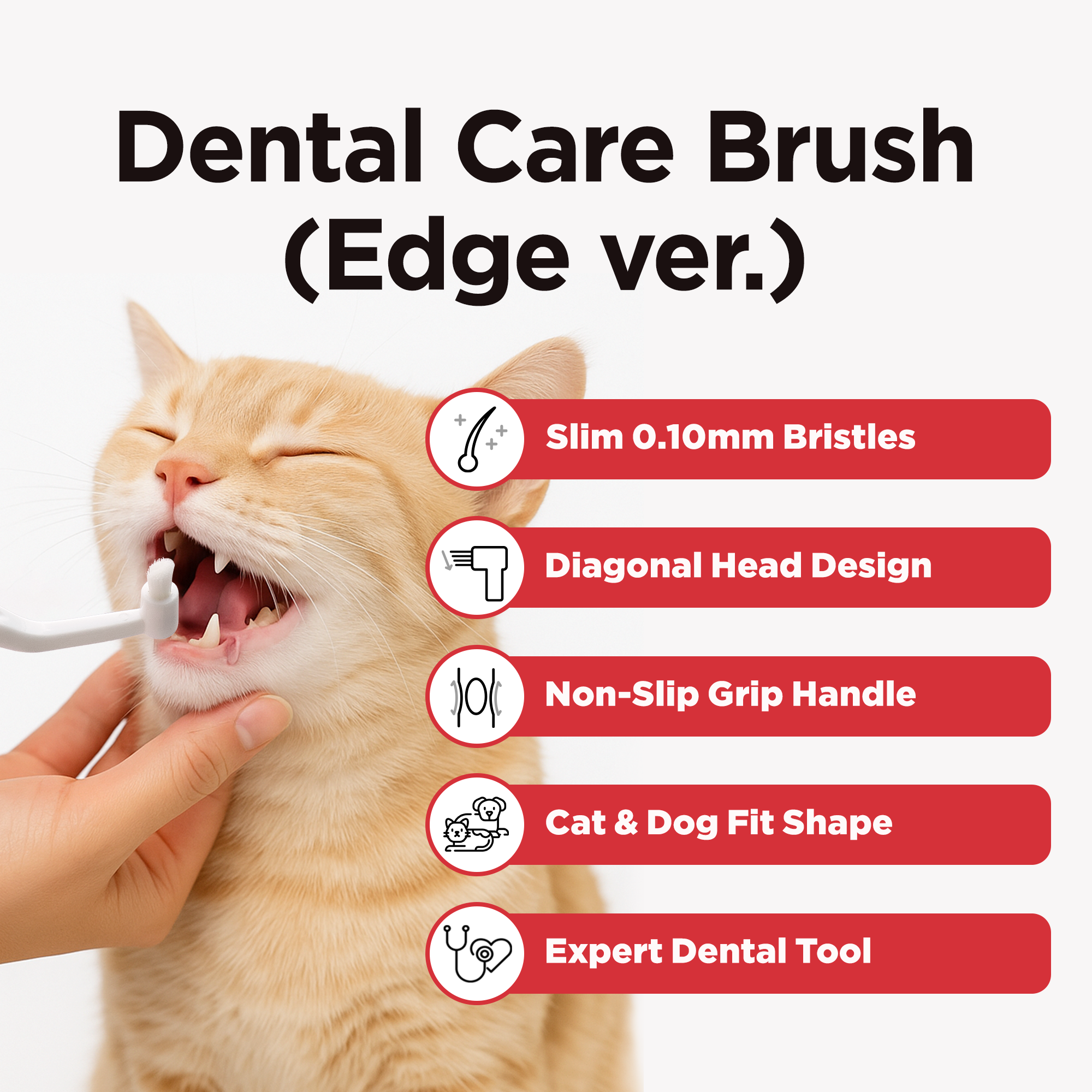 Dental Care Brush(Edge Bristles) – Diagonal-shaped Toothbrush - JAYU PET
