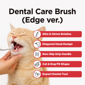 Dental Care Brush(Edge Bristles) – Diagonal-shaped Toothbrush - JAYU PET