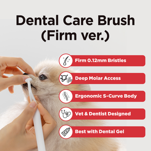 Dental Care Brush(Firm Bristles) – Toothbrush for Removing Tartar - JAYU PET