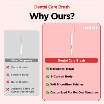 Dental Care Brush(Soft Bristles) – Toothbrush for Sensitive Gums - JAYU PET