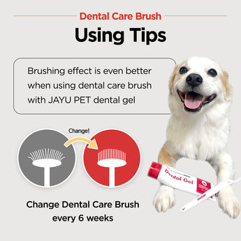 Dental Care Brush(Soft Bristles) – Toothbrush for Sensitive Gums - JAYU PET