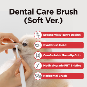 Dental Care Brush(Soft Bristles) – Toothbrush for Sensitive Gums - JAYU PET