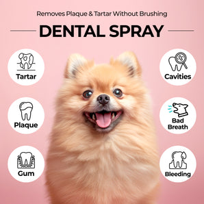 Dental Spray – No-Brushing Oral Care for Dogs & Cats - JAYU PET