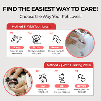 Dental Spray – No-Brushing Oral Care for Dogs & Cats - JAYU PET