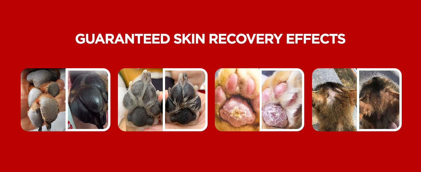 JAYU PET Red Honey Balm recommended bundle
