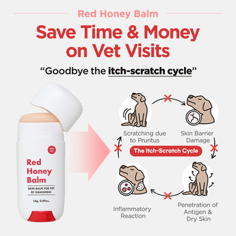 Red Honey Balm – Super-moisturizing Herbal Balm - JAYU PET