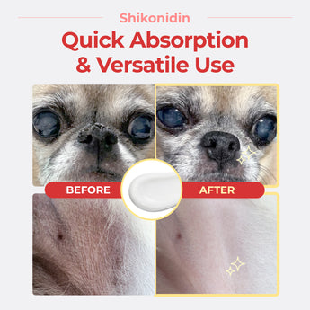 Shikonidin – Quick-absorbing Soothing Lotion - JAYU PET