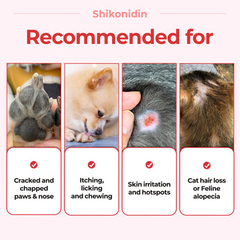 Shikonidin – Quick-absorbing Soothing Lotion - JAYU PET