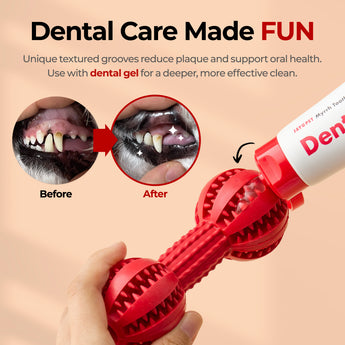 Toothbrush Chew Toy – Durable Dental Toy for Small & Medium Dogs - JAYU PET