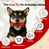 Toothbrush Chew Toy – Durable Dental Toy for Small & Medium Dogs - JAYU PET