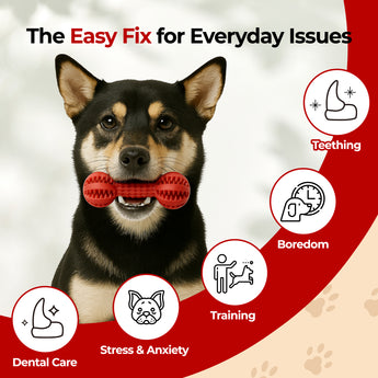 Toothbrush Chew Toy – Durable Dental Toy for Small & Medium Dogs - JAYU PET