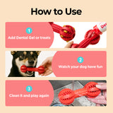 Toothbrush Chew Toy – Durable Dental Toy for Small & Medium Dogs - JAYU PET