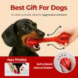 Toothbrush Chew Toy – Durable Dental Toy for Small & Medium Dogs - JAYU PET