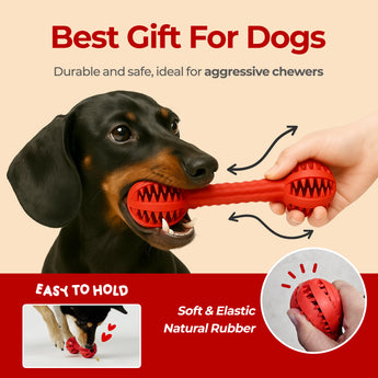 Toothbrush Chew Toy – Durable Dental Toy for Small & Medium Dogs - JAYU PET